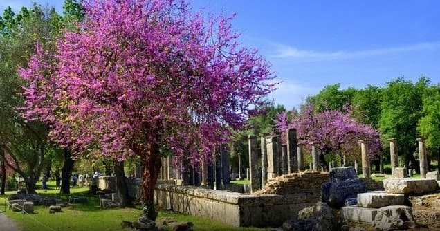 Ancient Greece Adventure with Unique Greek Tours at Olympia