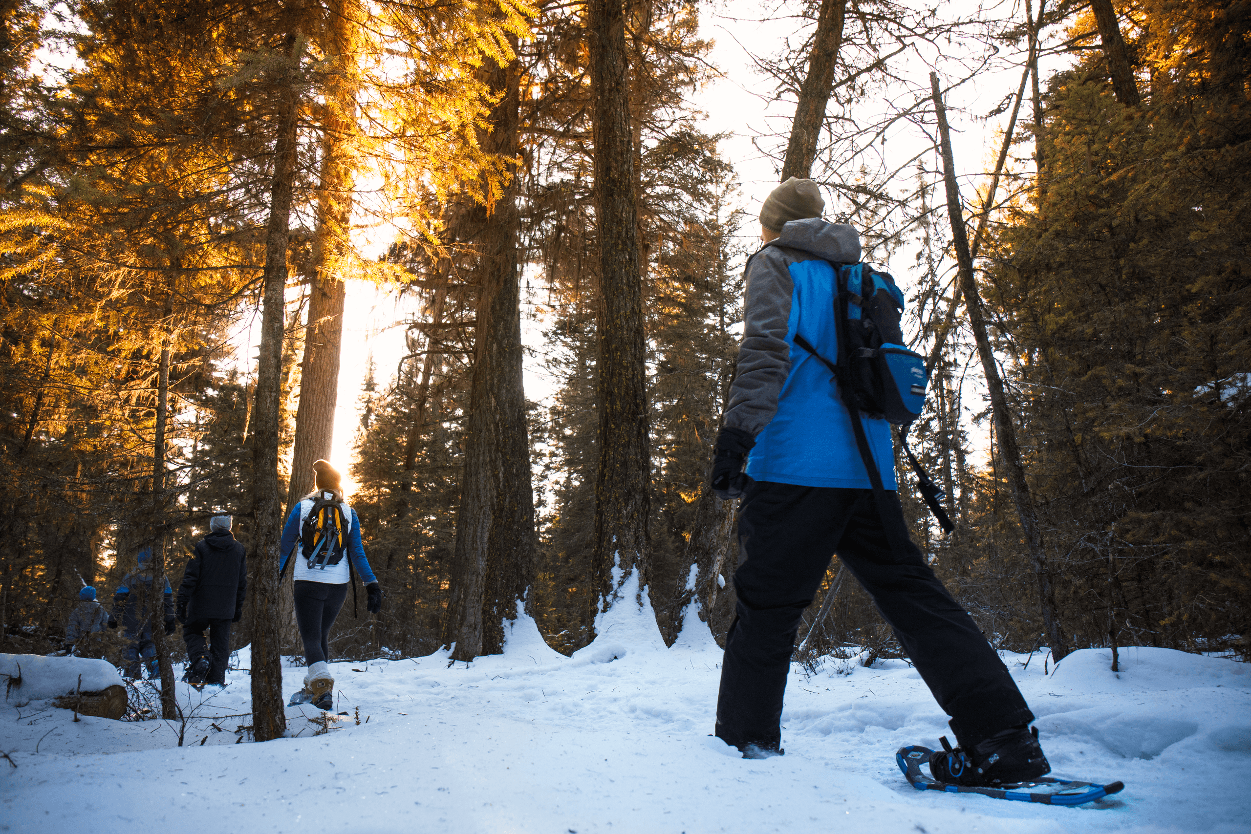 Guided Snowshoe Tours in Kamloops: Family-Friendly Winter Walks