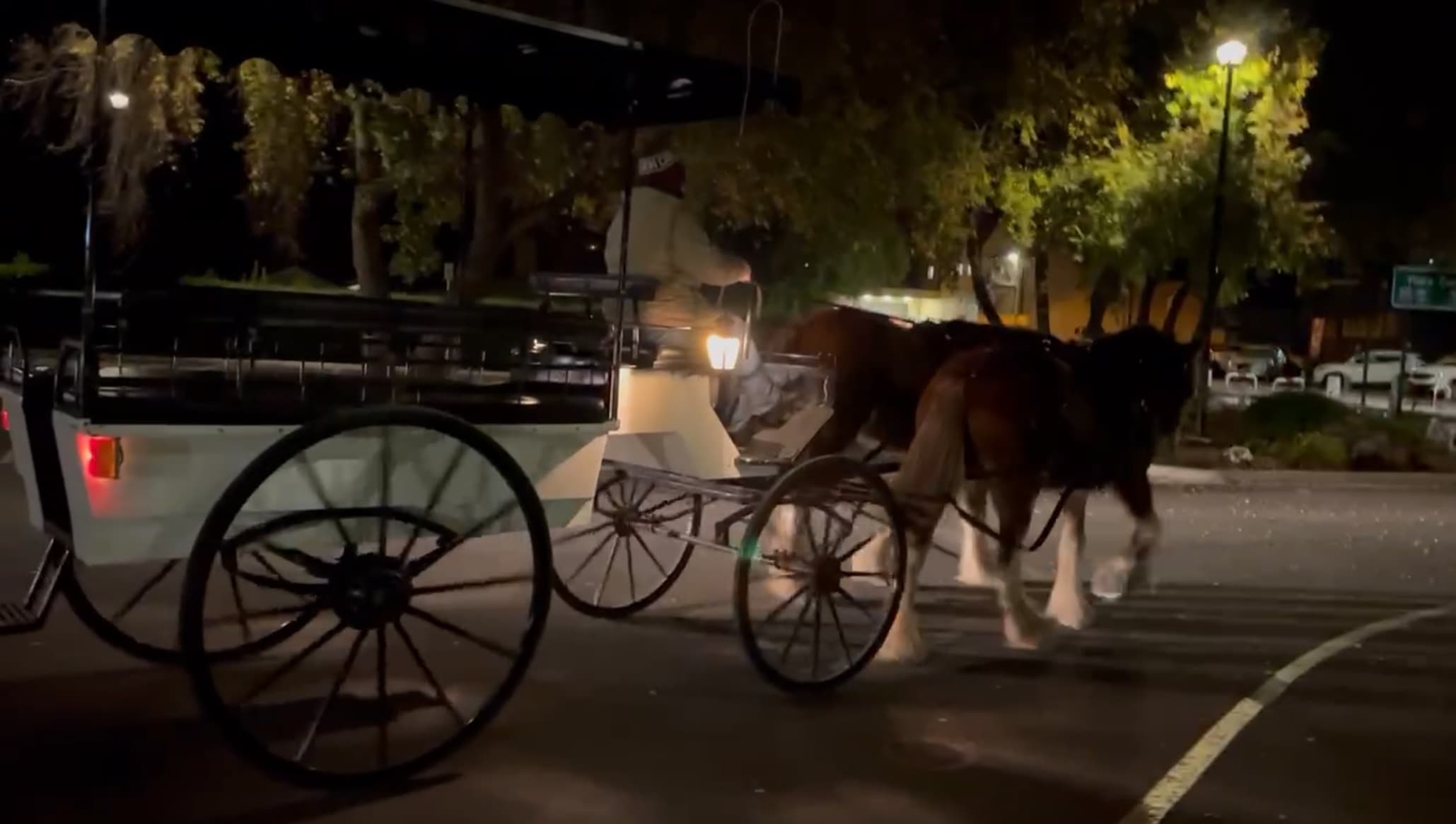 Horse Drawn Dark History Tour by Carriage of Occasion