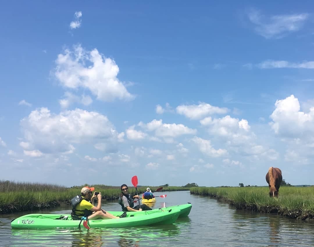 Half Day Watersports Rental at Assateague Island, Maryland