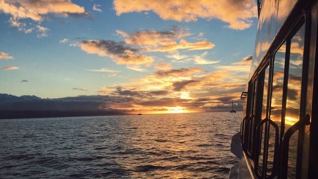 Sunset Whale Watch Sail in Wailuku, Hawaii