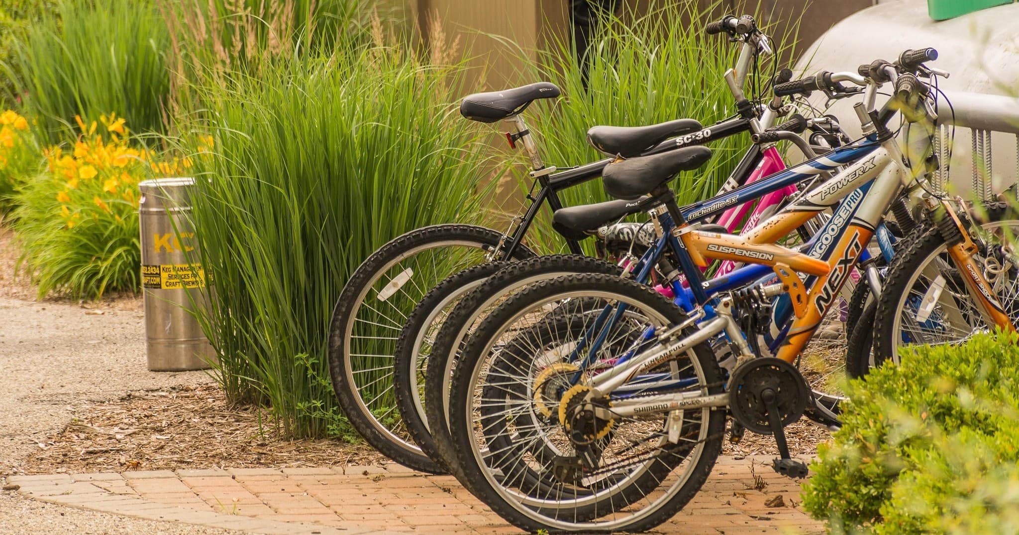 Multiple bicycles parked at rack near landscaped walking path