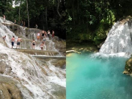 Dunn’s River Falls & Blue Hole Adventure with Your Jamaican Tour Guide