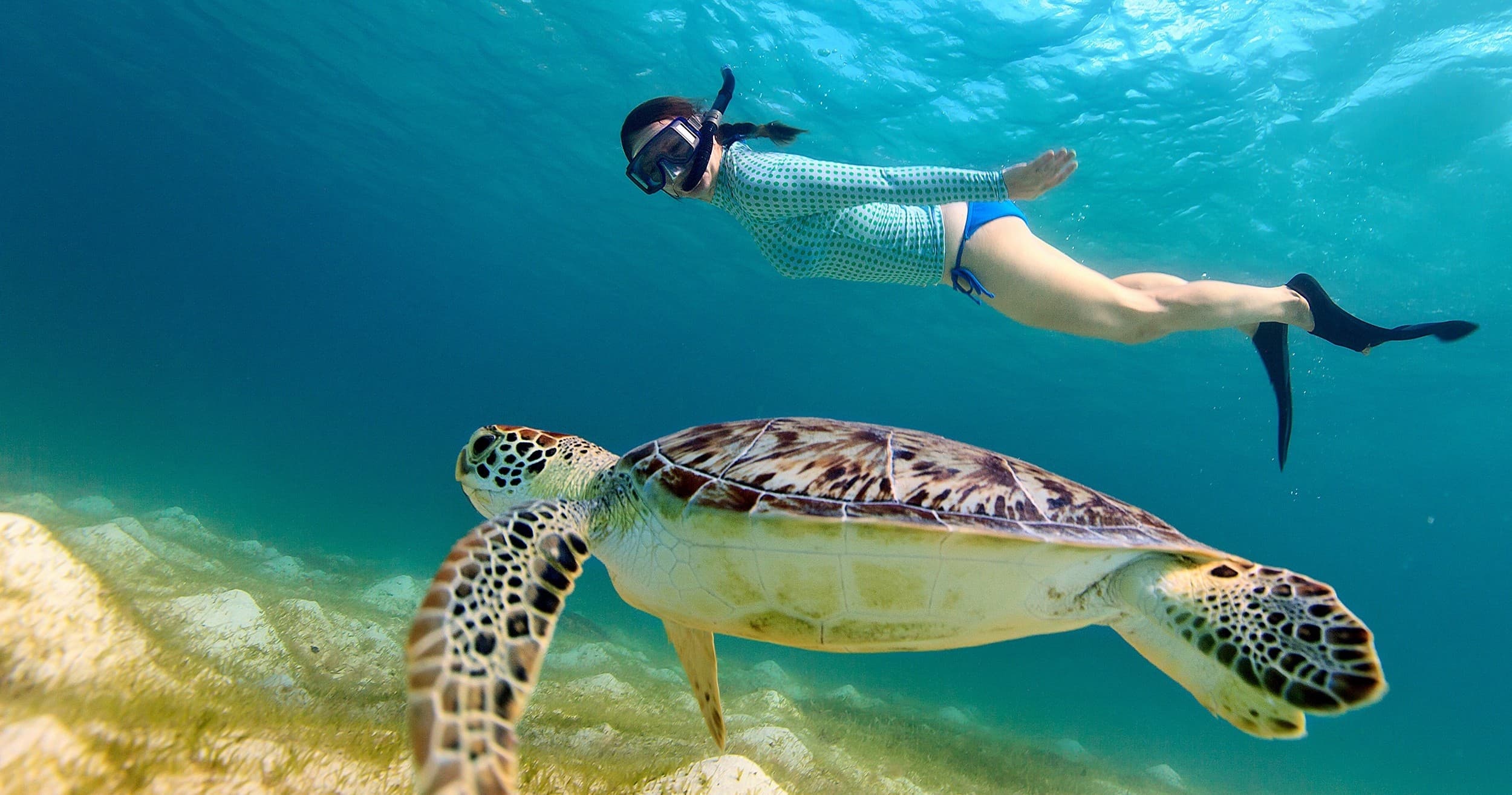 Water Activities & Beach Bum Cozumel: Snorkel in Cozumel’s Reefs
