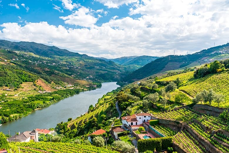 Douro Valley Wine & Boat Tour in Portugal