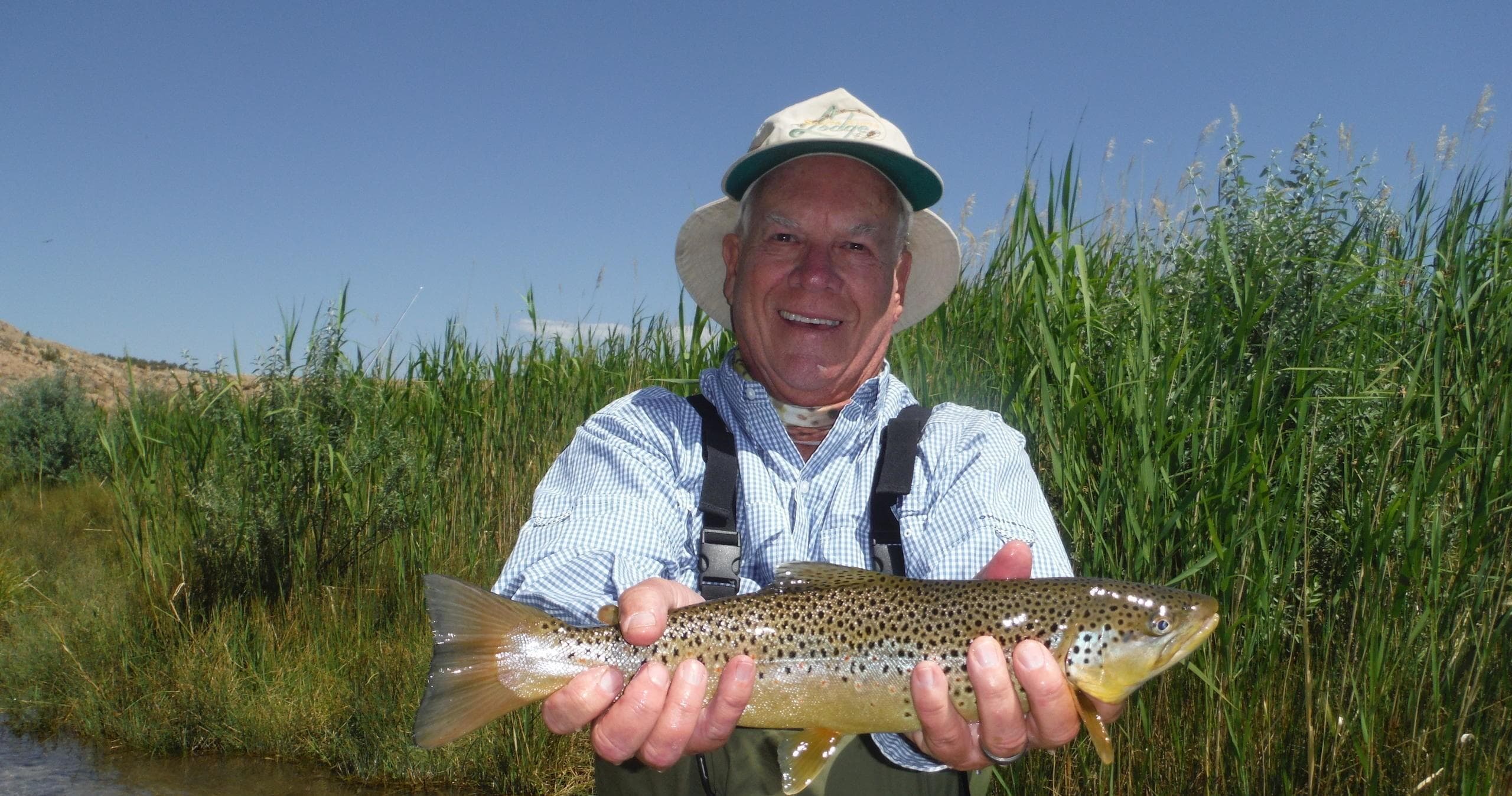 Senior angler holding brown trout by riparian reeds on sunny day
