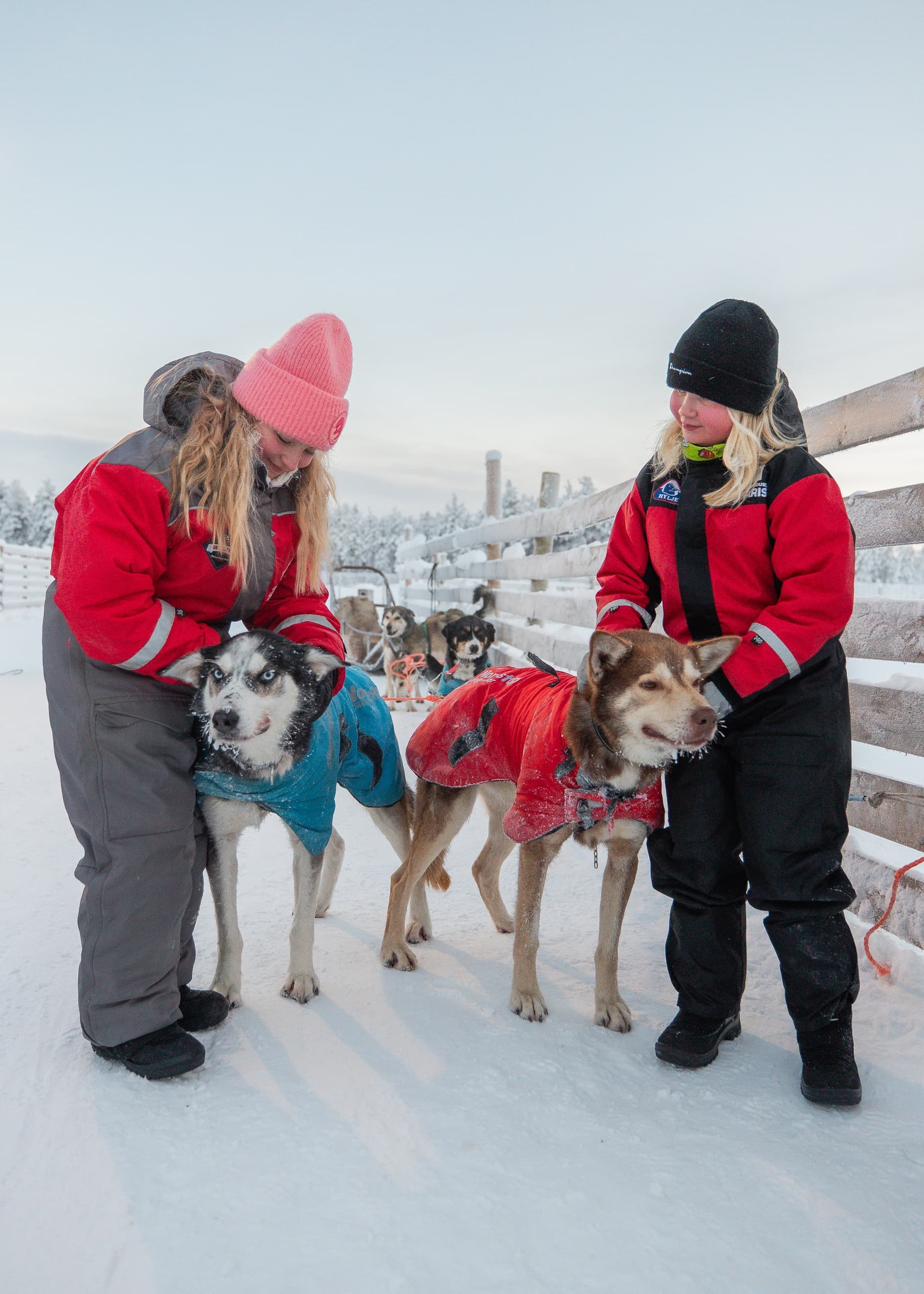 Winter Wildlife & Snow Activities at Santa Claus Holiday Village