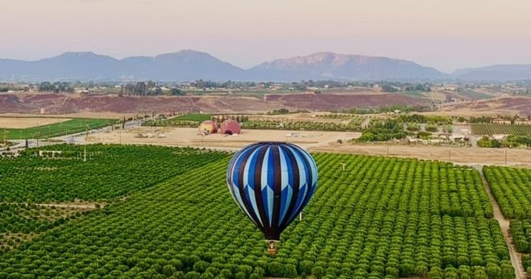 SkyRider Tours fleet