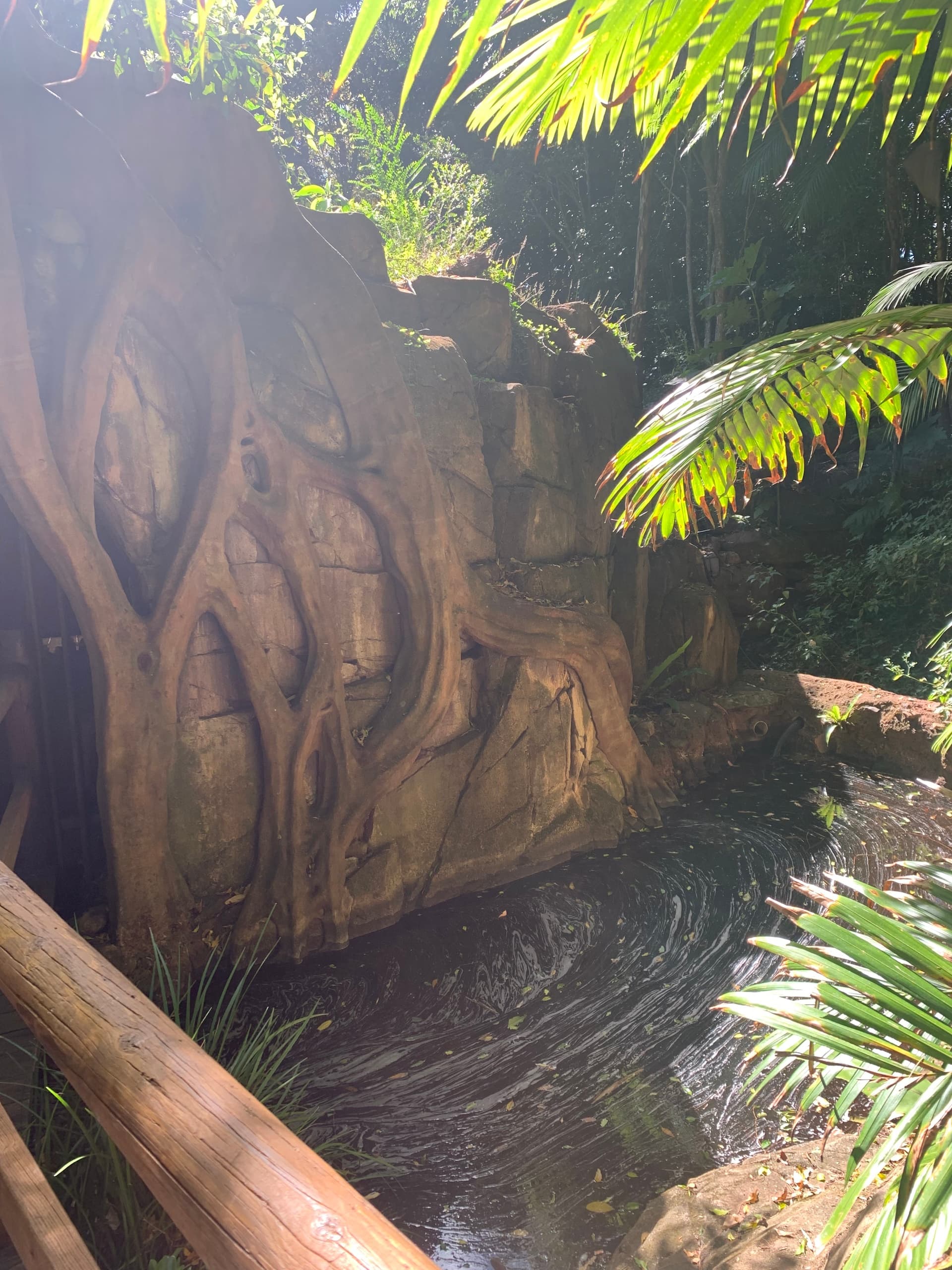 Canopy Walks, Glow Worms and Village Flavors on Tamborine Mountain photo 3