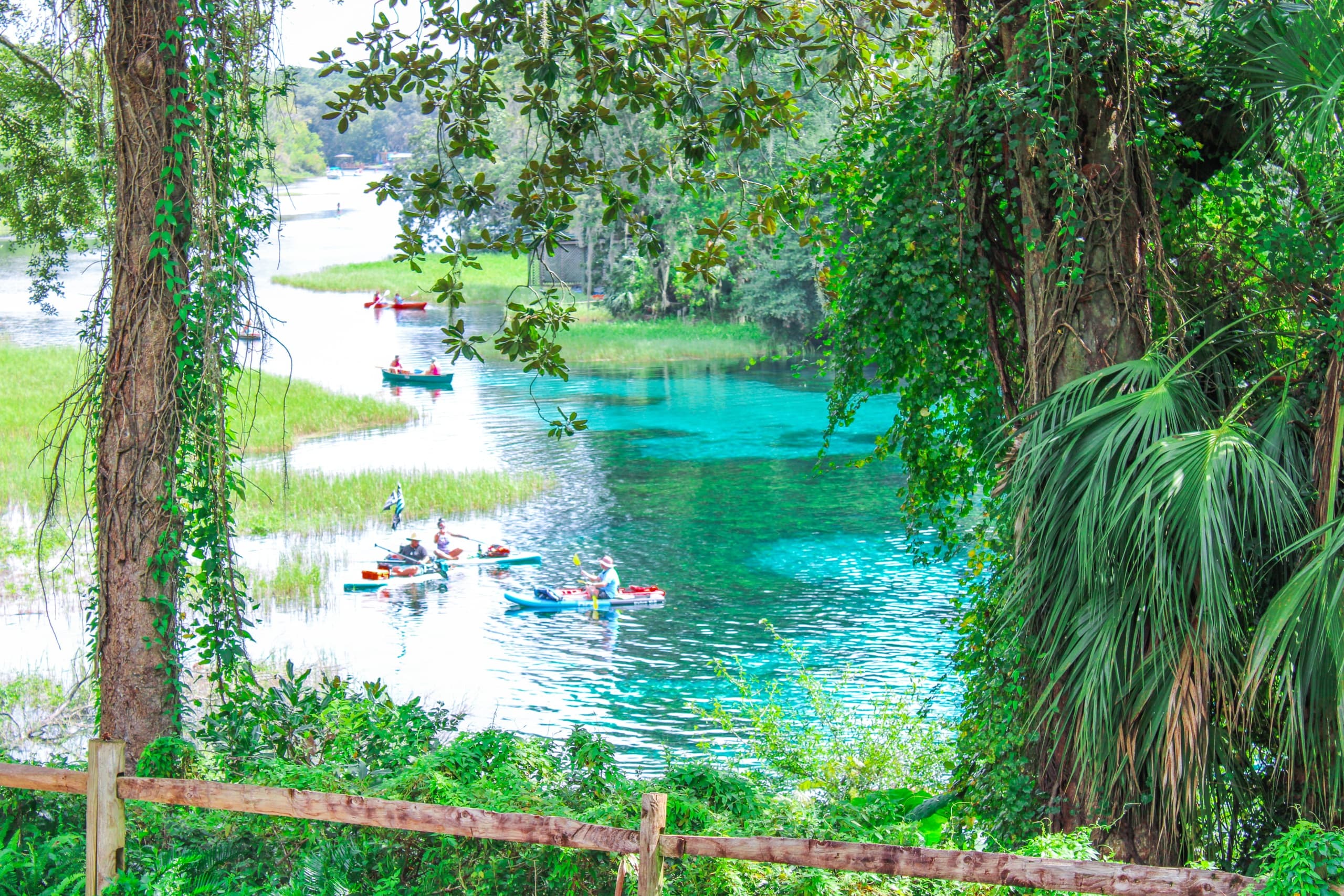 Kayak Adventures with Rainbow Springs Adventures in Dunnellon