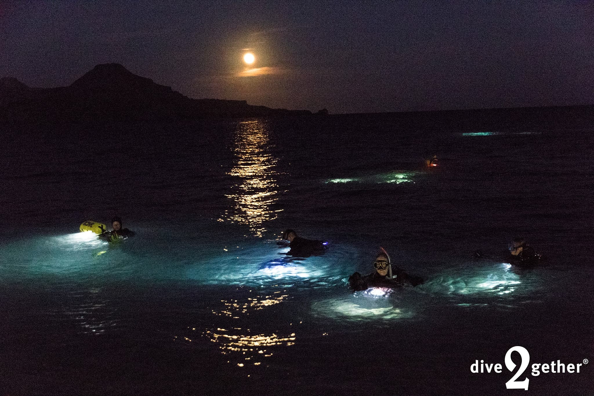 Night Dive in Crete: Torch-lit Bioluminescence and Nocturnal Marine Life photo 2
