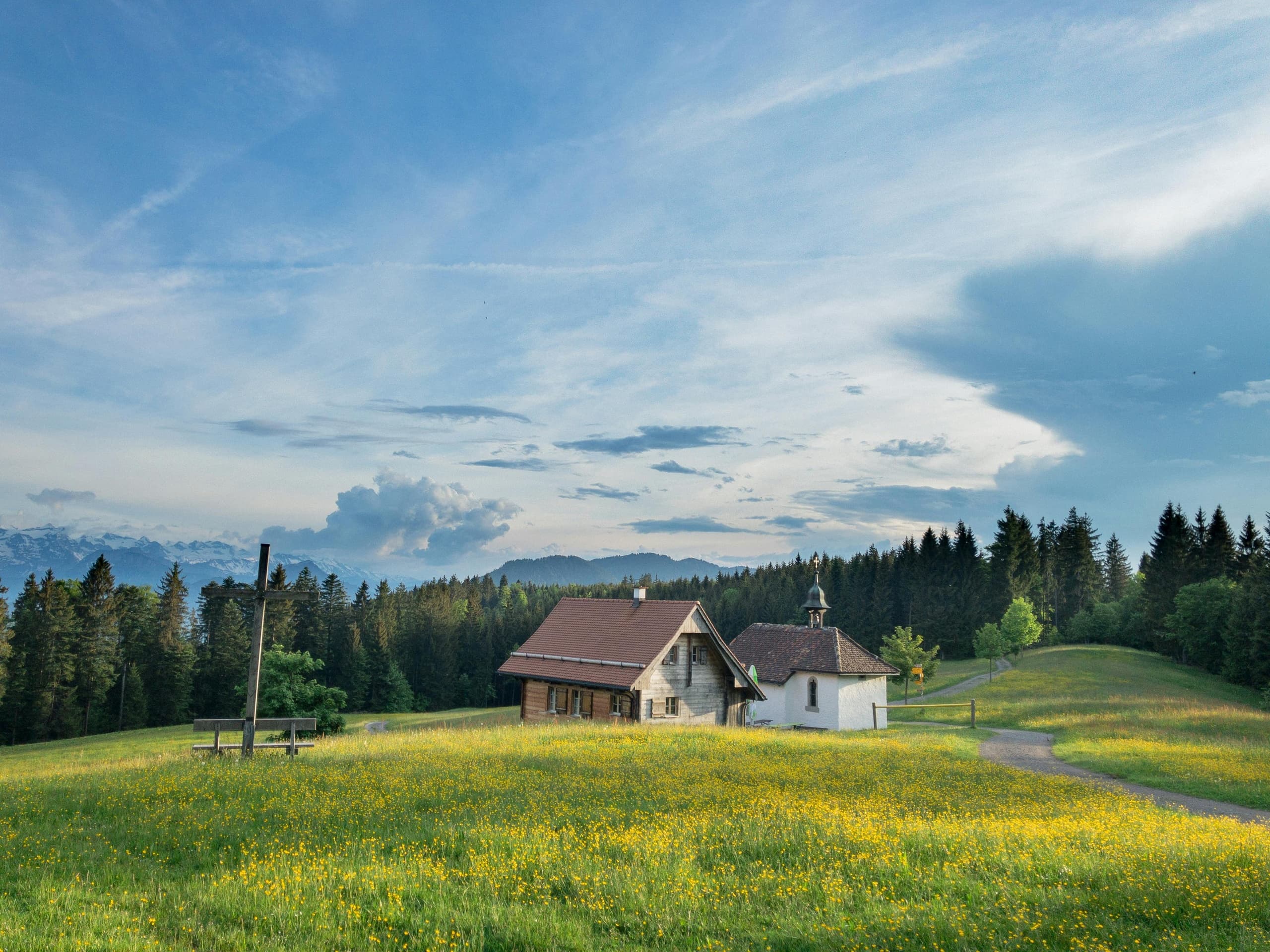 Alpine meadow with cabins, mountain biking and hiking terrain