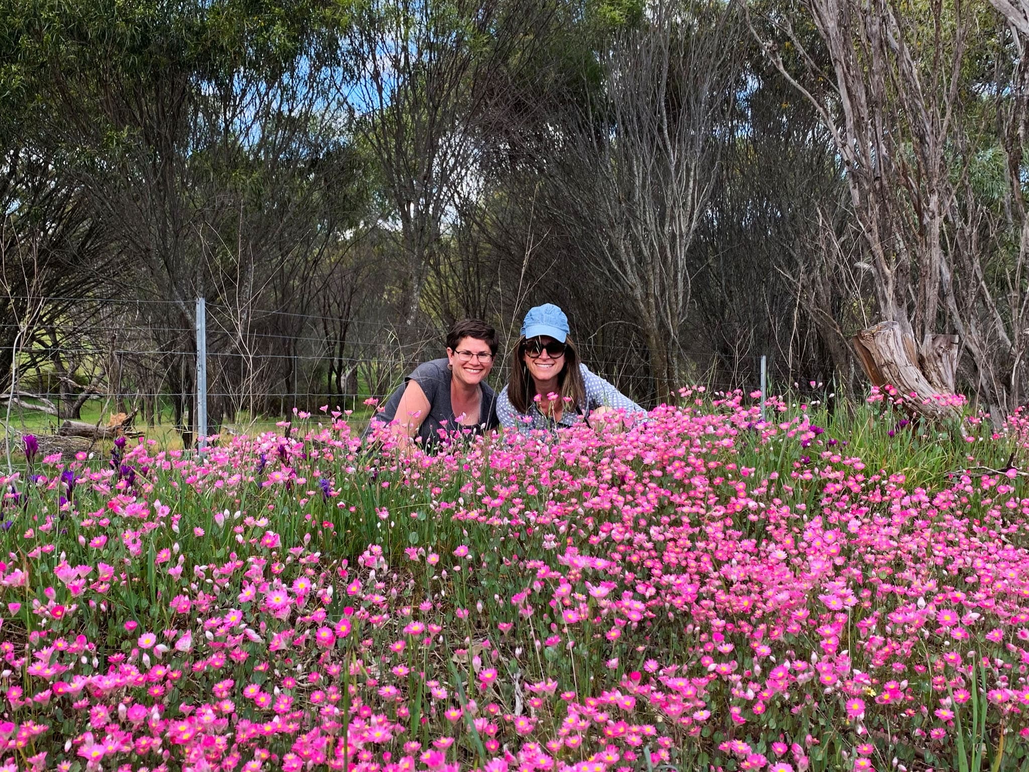 Perth Wildflower Drives and Walks: Private Day Tours in the Perth Hills