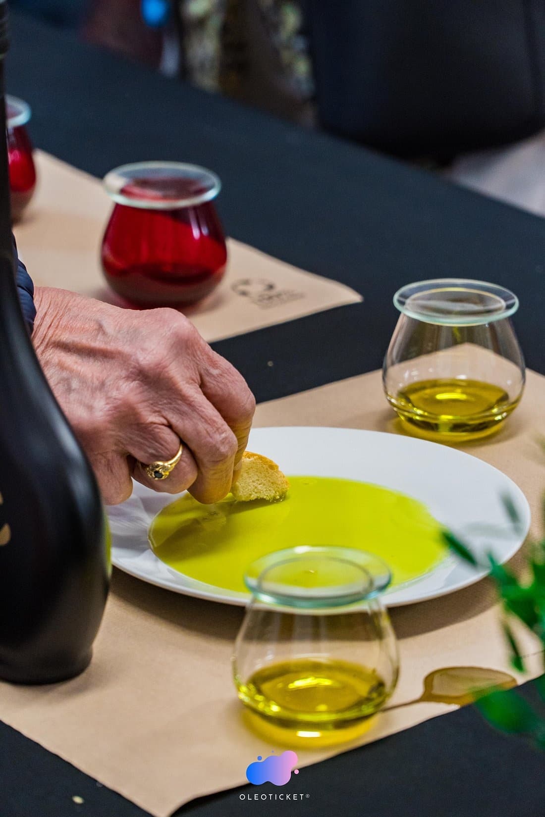 Inside Jaén's Olive Mills: Tasting & Tech at Oleícola San Francisco photo 1