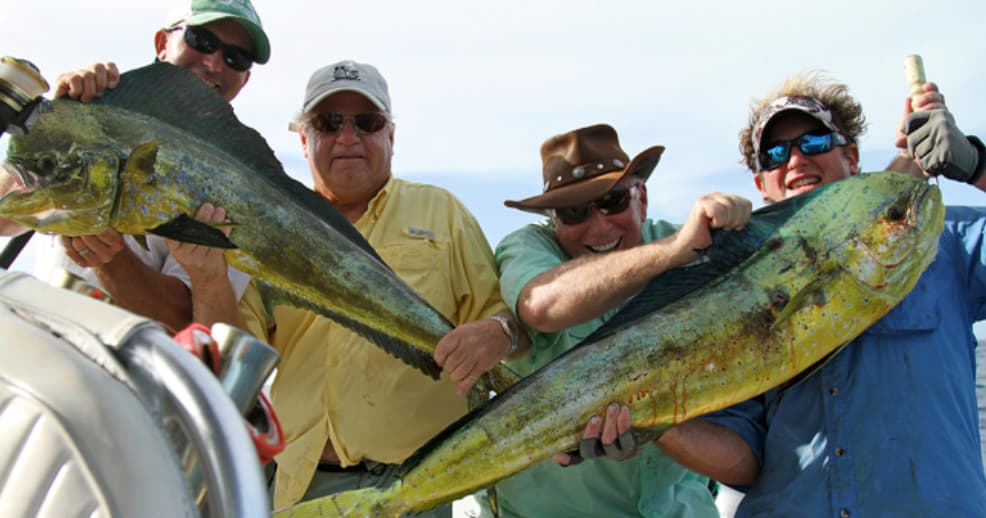 Anglers holding two large mahi-mahi on charter fishing deck