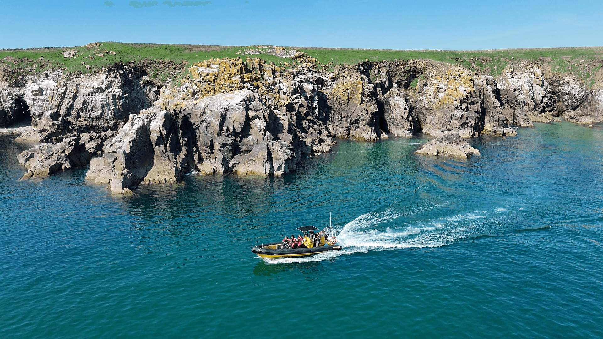 Saltee Sea Safaris fleet