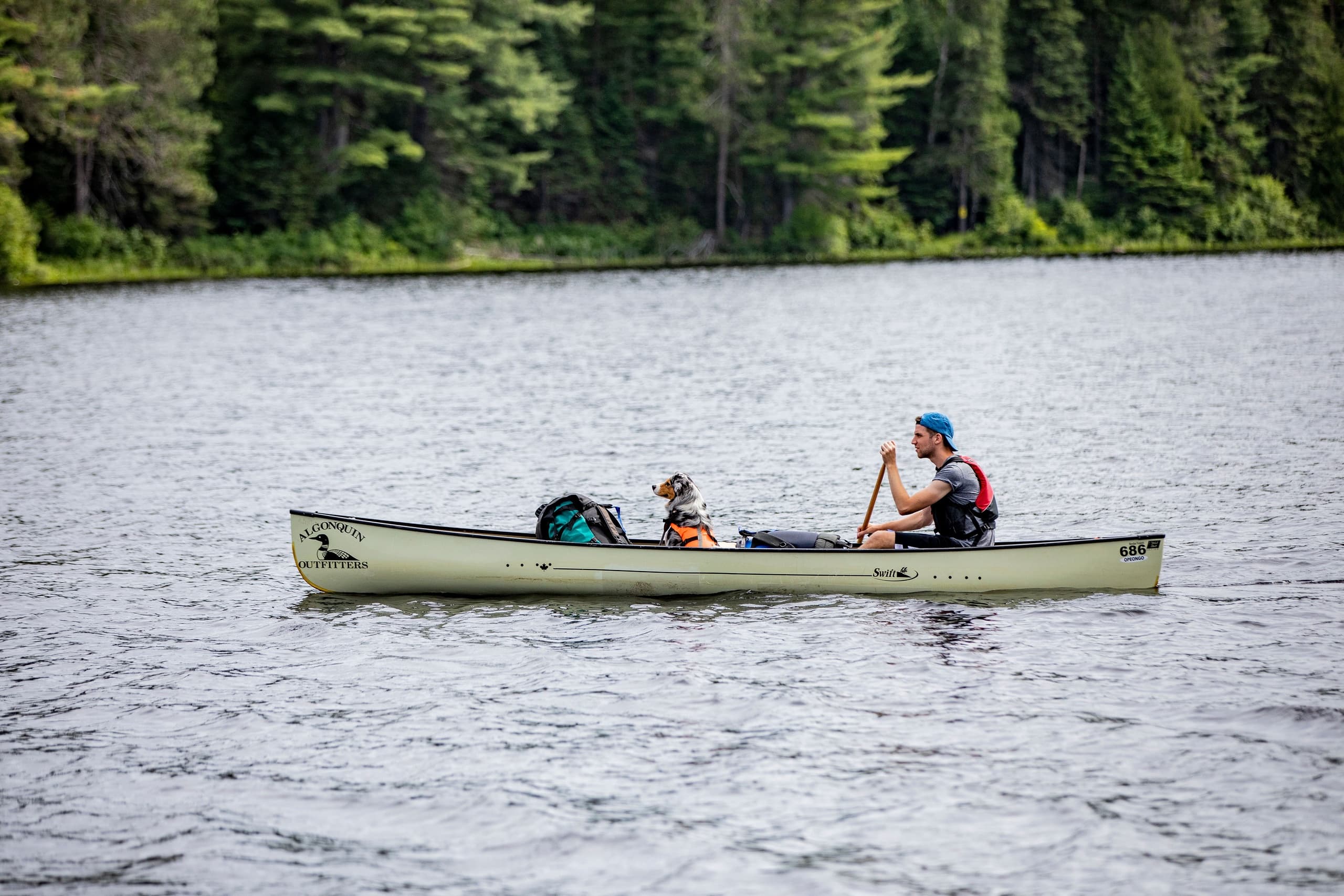 Canoe Lake Adventure at Algonquin Outfitters