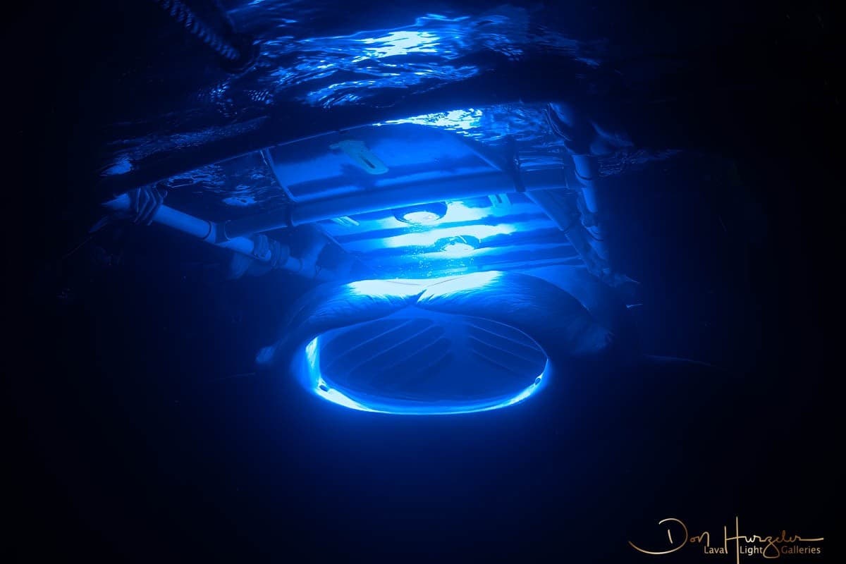 Manta Ray Night Snorkel on the Kohala Coast — Big Island Under the Stars photo 4