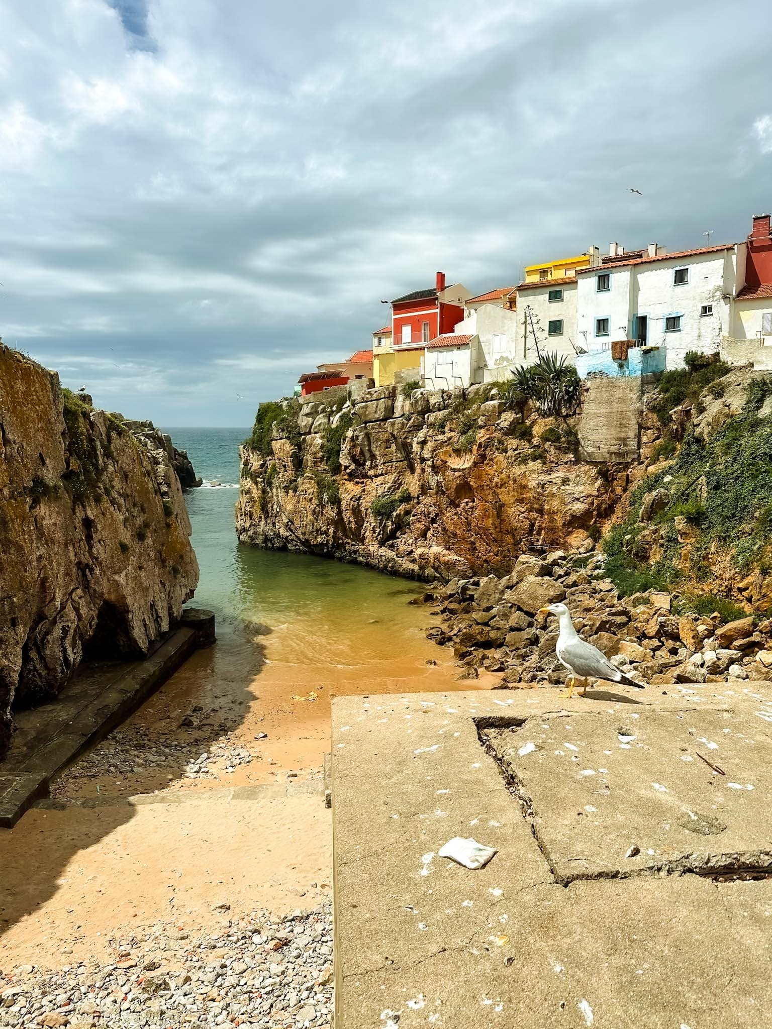 Coastal cliff village inlet with seabirds and sandy cove