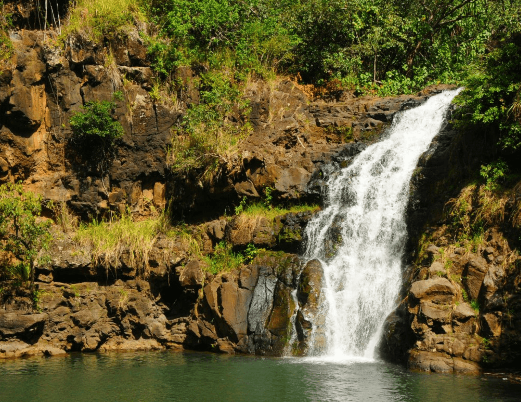 Snorkel in Waipahu, Hawaii