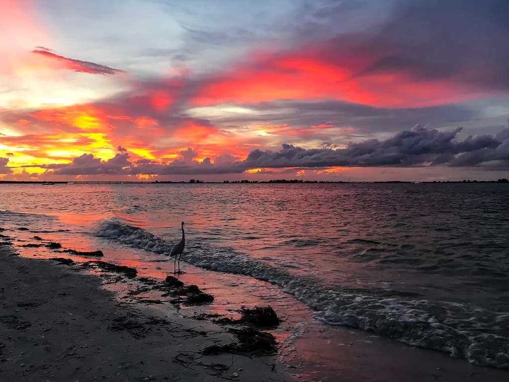 Fort Myers Beach Sunset Tour: Unforgettable Sailing Adventure