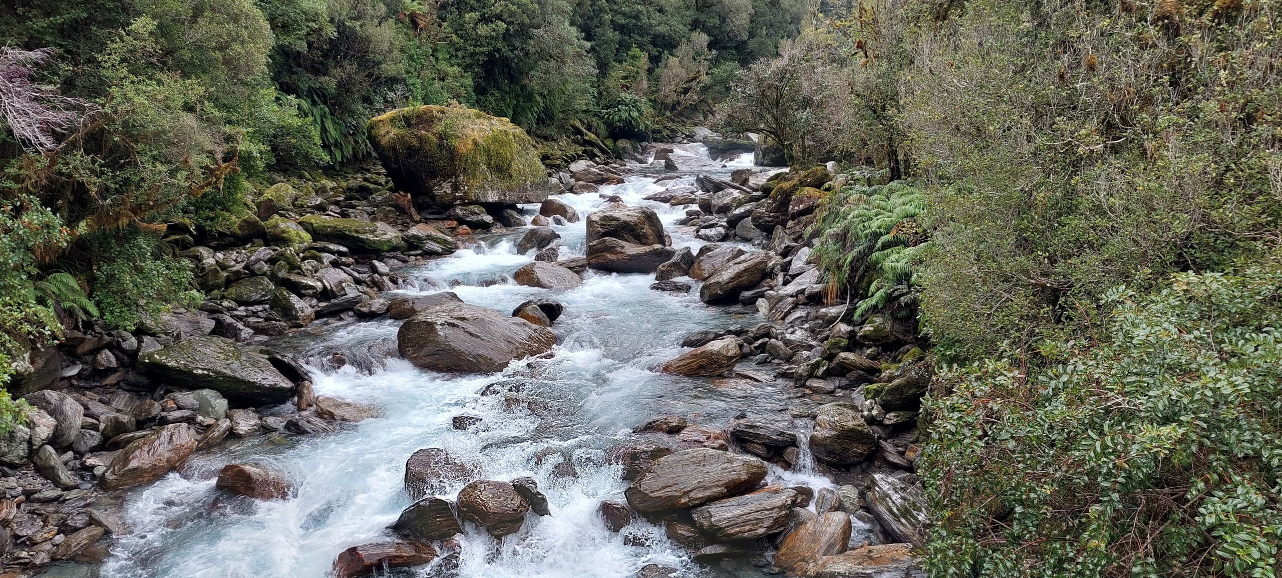 Welcome Flat Hot Spring Hike: Three-Day Guided Soak and Hike from Queenstown photo 3