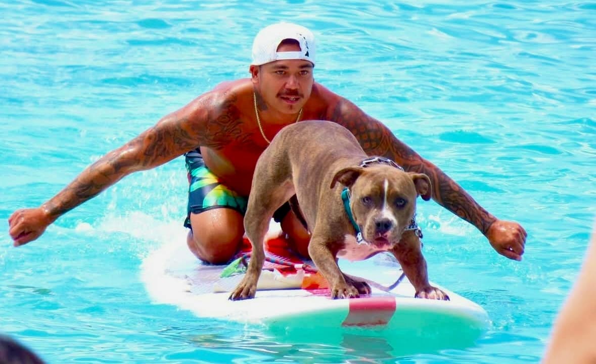 Surfer and dog riding a wave on a stand-up paddleboard in ocean