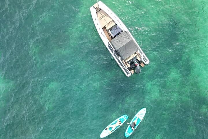 Private RIB Charter from Lagos to Benagil Caves, Dolphin Watching & SUP photo 3
