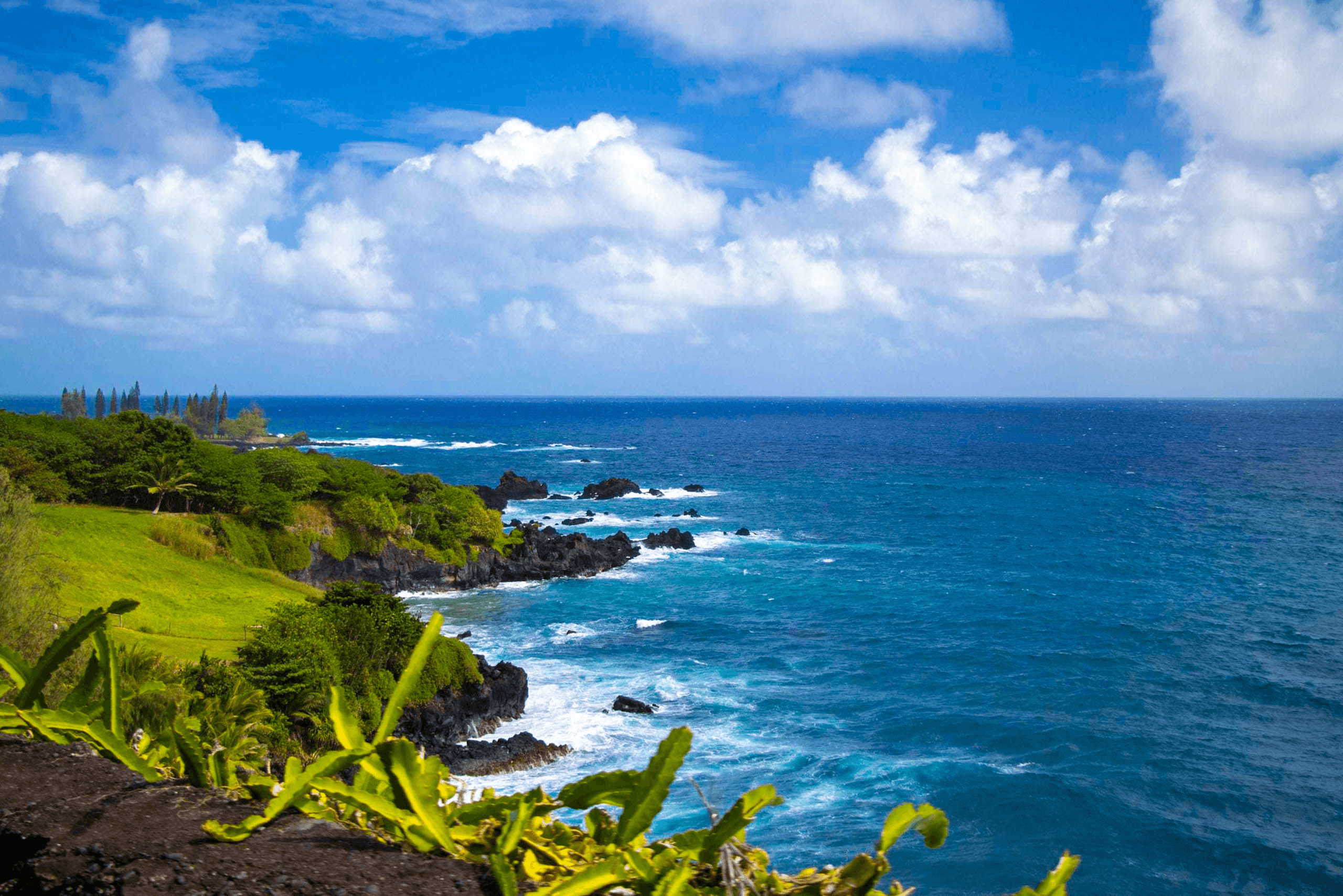 Scenic Maui ocean coastline with waves and green headlands