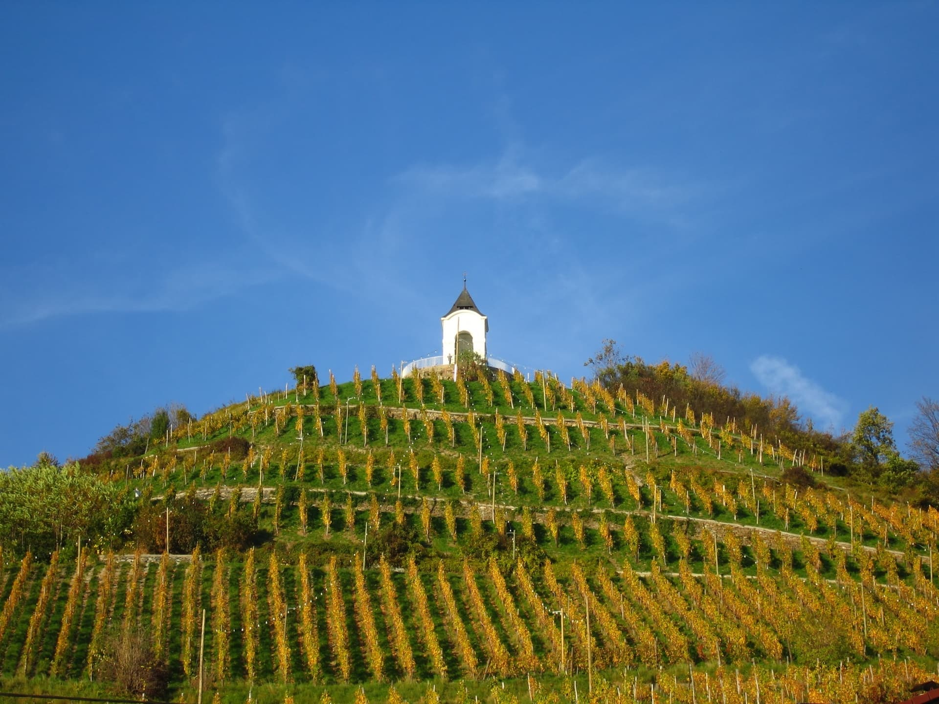 Maribor Wine and History Day Trip: Lenta, Vinag Cellars & Žička kartuzija photo 3