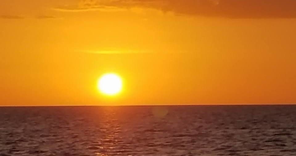 Sunset Trip with Mellow Mangrove Charters in Homosassa