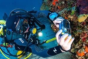 Certified Diver Immersions with Zoea Mallorca in Calviá