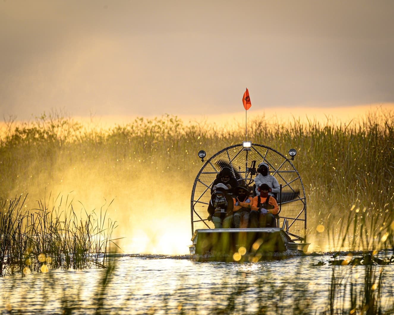 Airboat Adventure with Crazy Gator Airboat Tours in St. Cloud