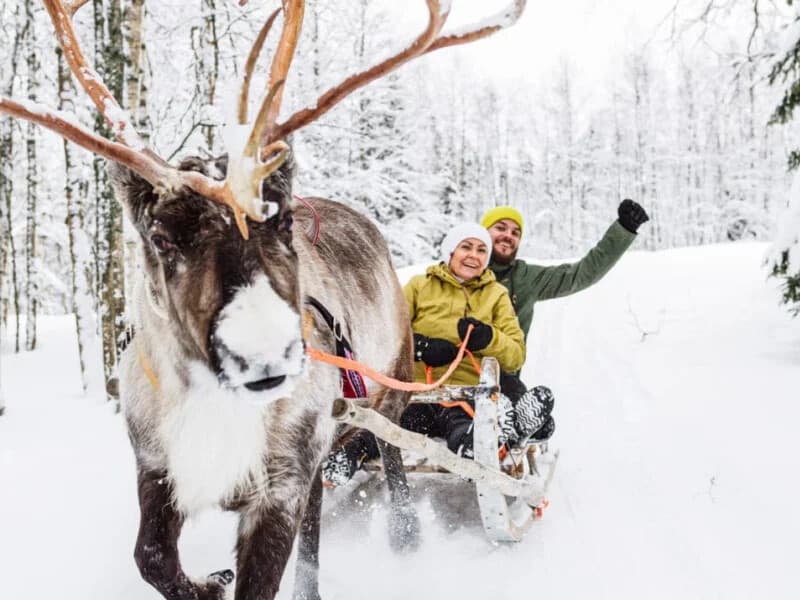 Arctic Snowmobile Safari to Reindeer Farm in Rovaniemi