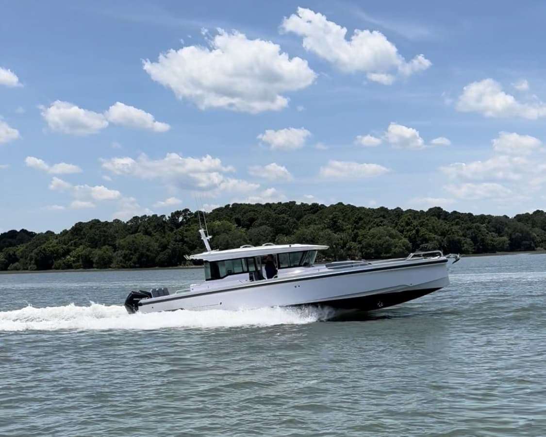 Extended Hilton Head Sunset Cruise: Dolphins, Daufuskie Island & Golden Hour photo 1