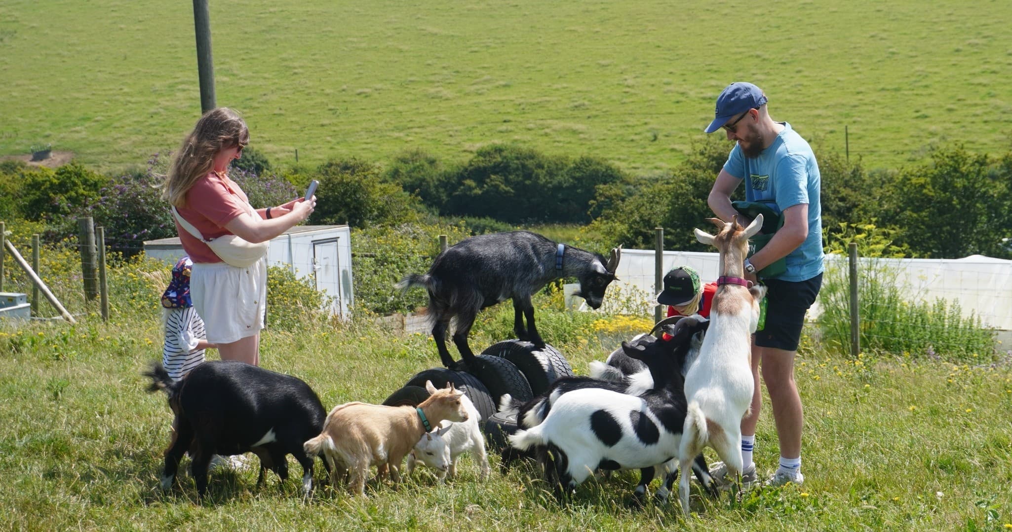 Farm Animal Encounters at Frampton Organic Farm