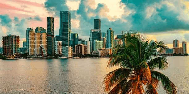 Affordable Florida Shuttle Service by Wawa Express