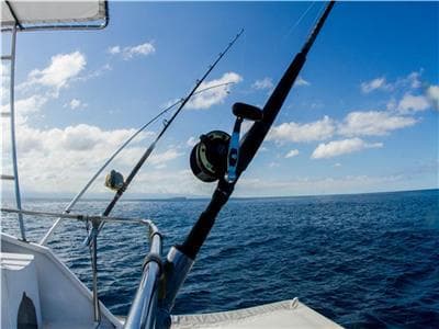 Water Activities with Puerto Vallarta Net: Fishing Adventure in Mexico