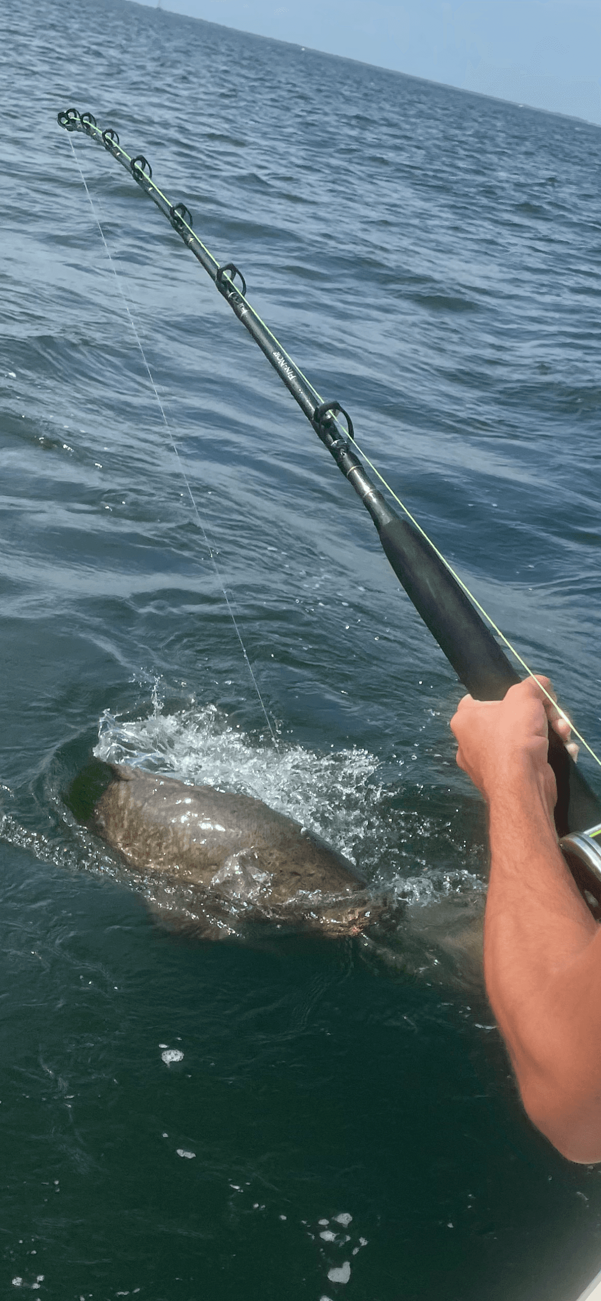Goliath Grouper Fishing with Fish Tamer Charters in Ruskin