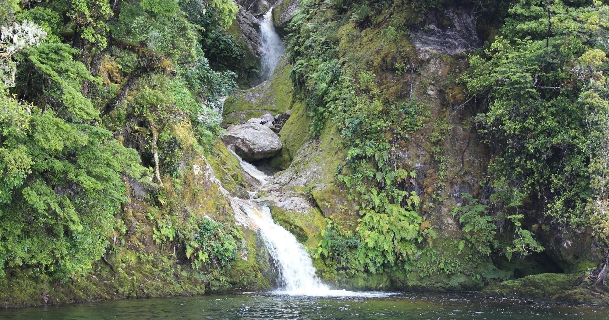 Waterfall cascading into a forest pool in lush alpine rainforest