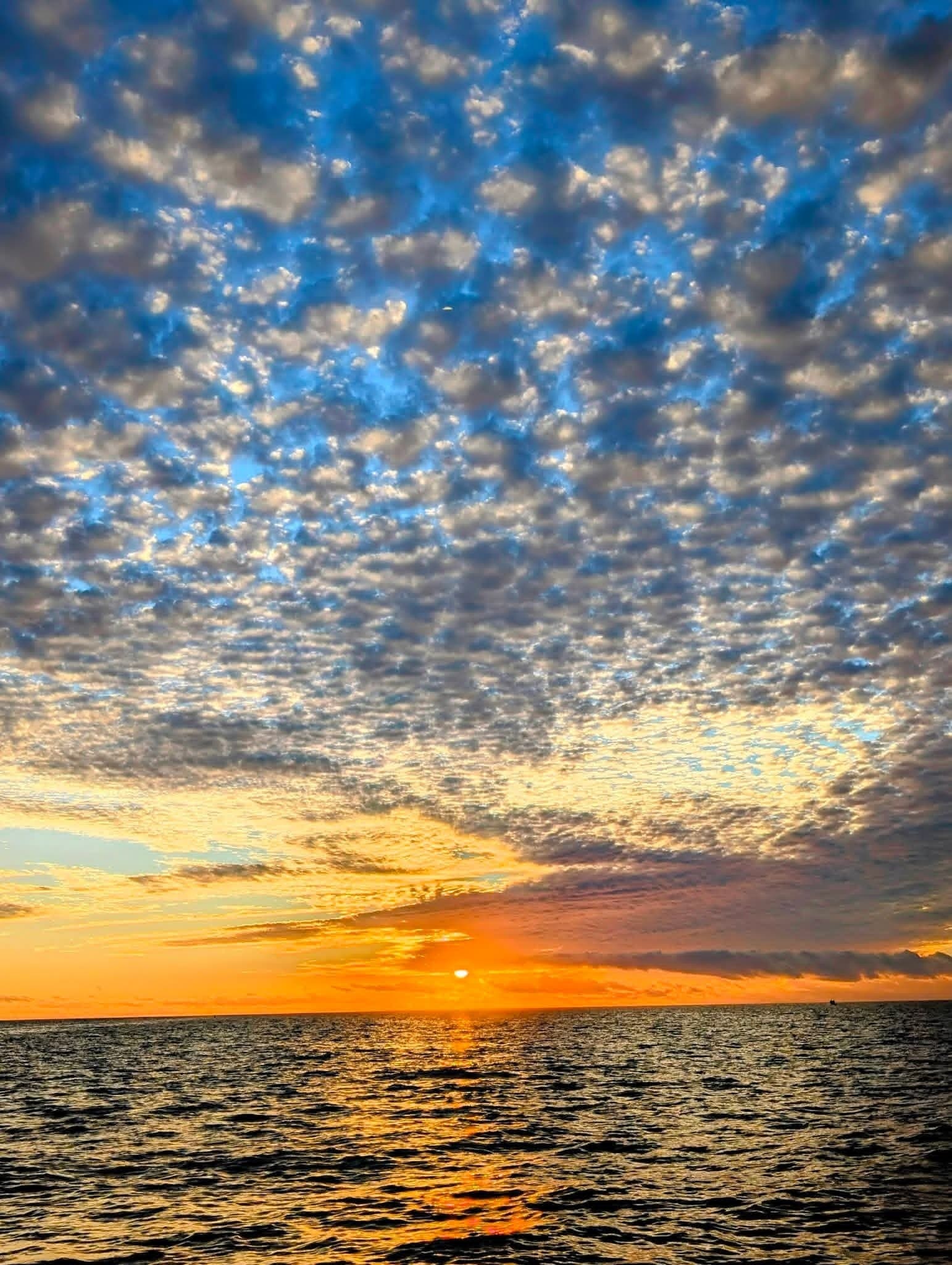 Private Sunset Cruise Fort Myers Beach: Dolphin-Watching & Mangrove Sunsets