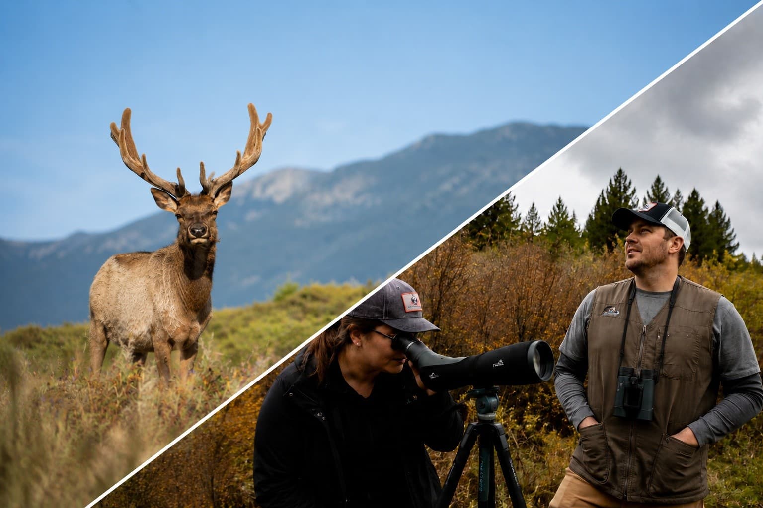 Wildlife Along Trail Ridge Road: Rocky Mountain National Park Tour & Picnic from Louisville