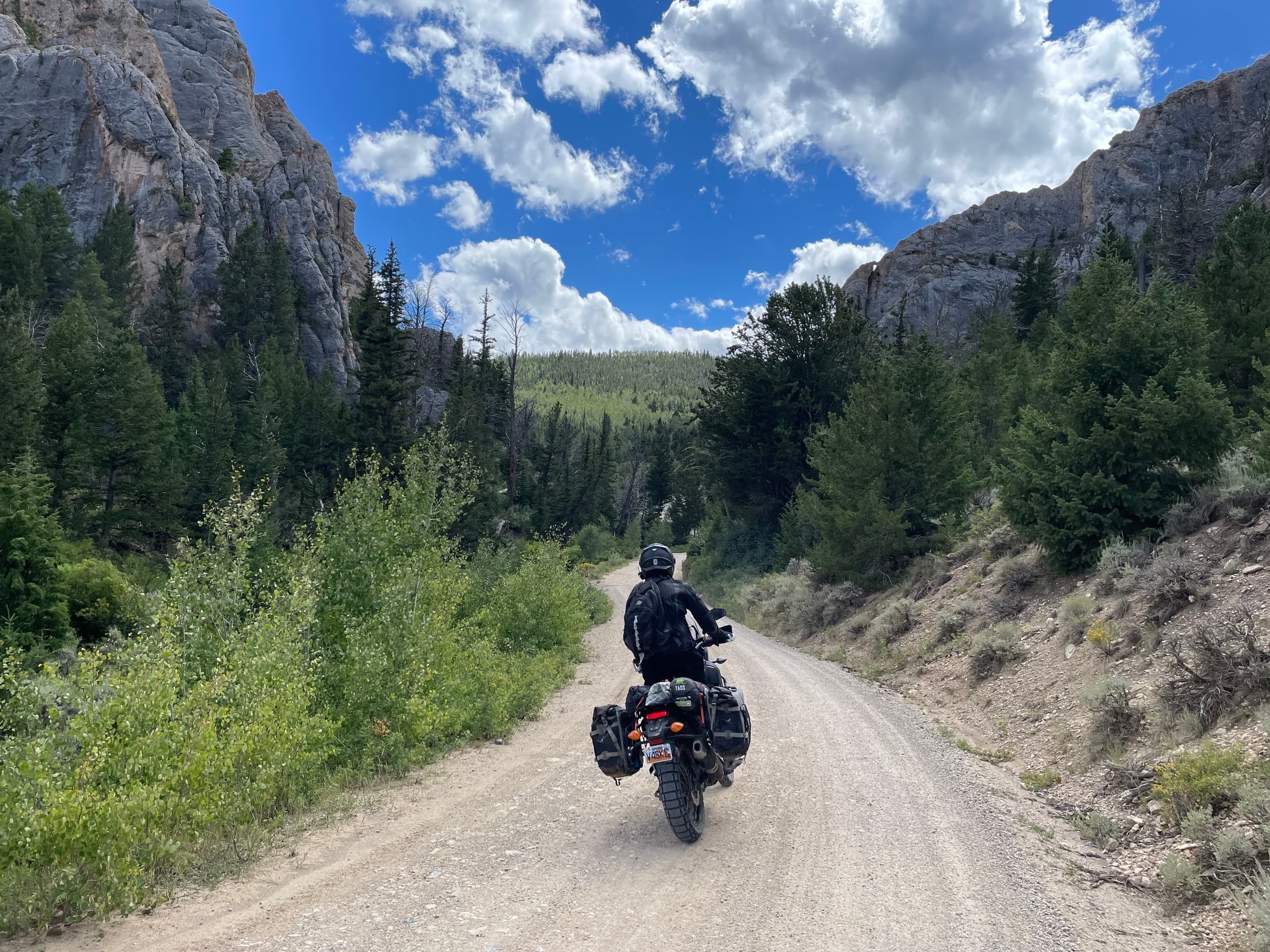 Rider on adventure motorcycle riding down a forested dirt road
