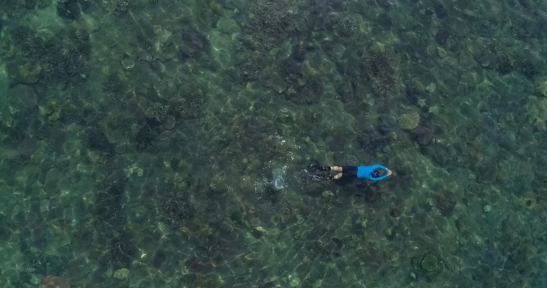 Water Activities & Reef Navigator: North Barnard Islands Adventure
