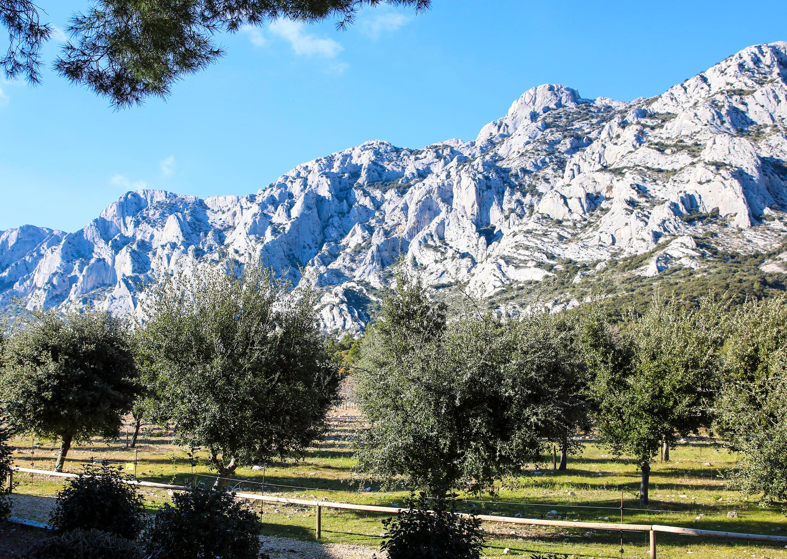 Land Adventures in Aix-en-Provence & Mont Sainte Victoire | The Adventure Collective
