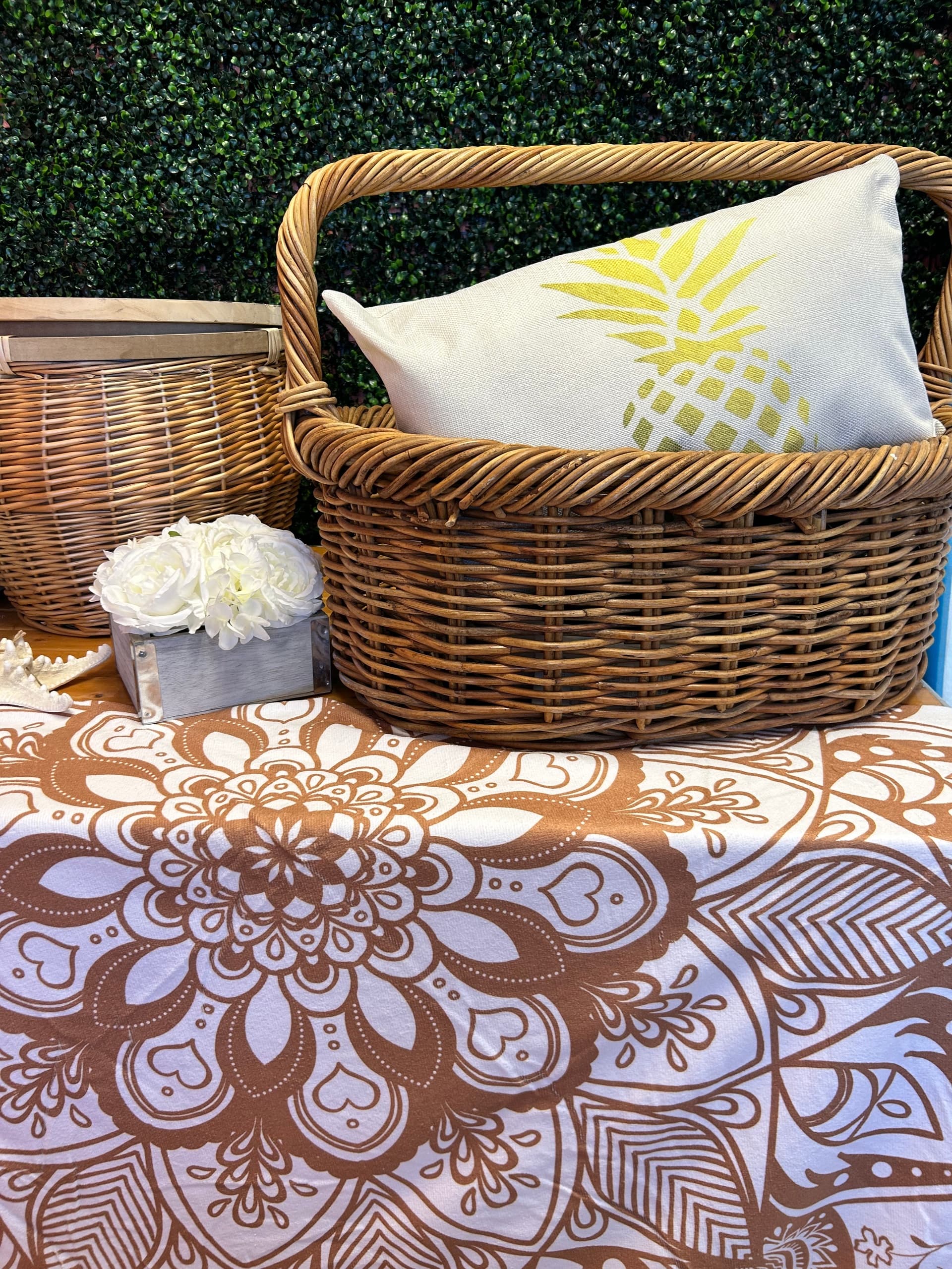 Water-Activities & Wicked Pineapple: Beachside Picnic Bliss