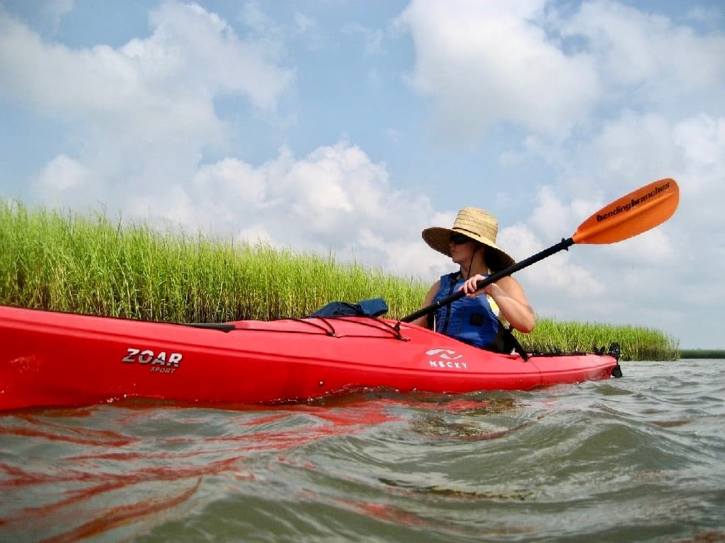Paddle St. Simons Island: Guided Kayak Tour Through Tidal Creeks and Estuaries