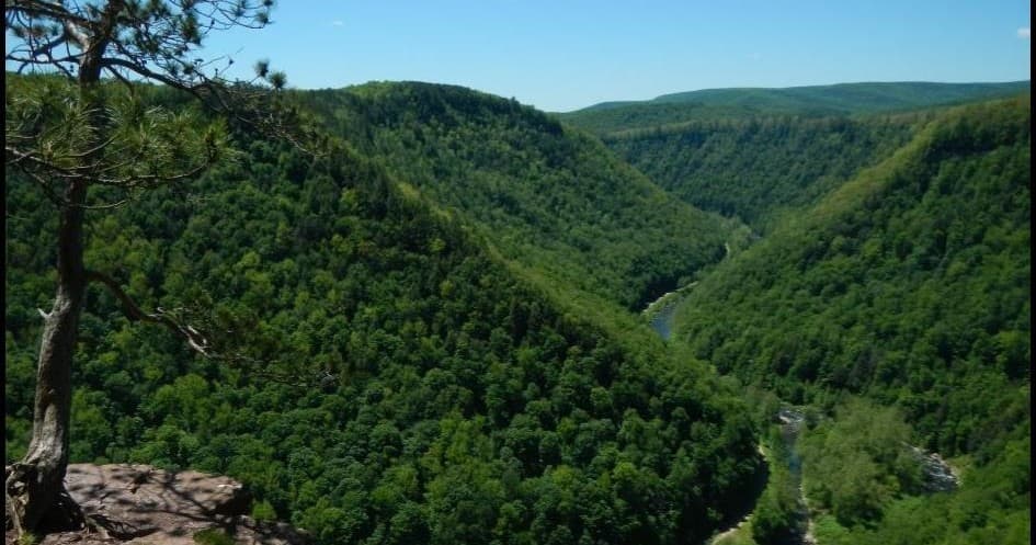 Panoramic forested river valley vista with distant hikers