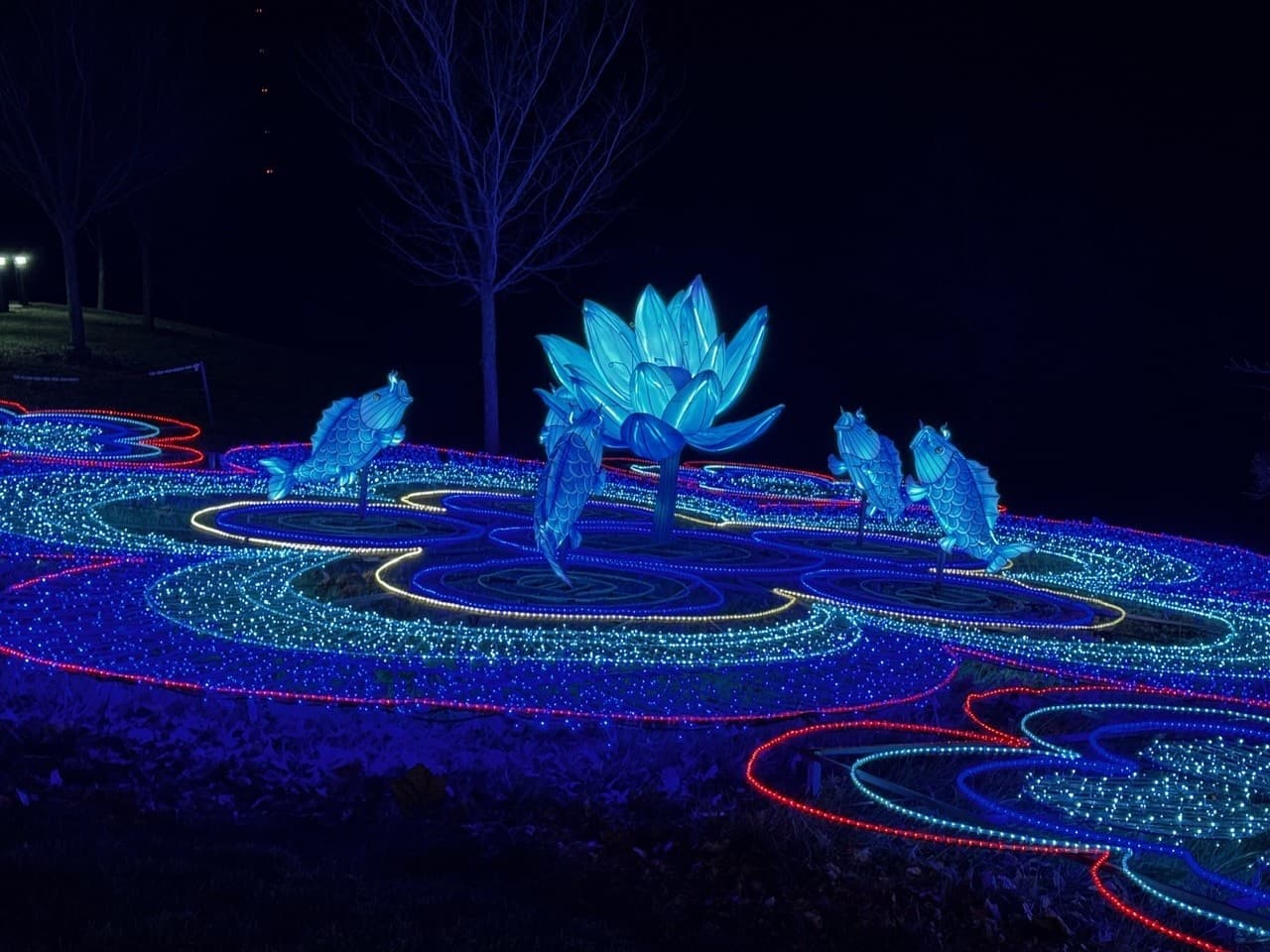Ozarks Aglow: Night Lantern Walk at Shepherd of the Hills, Branson
