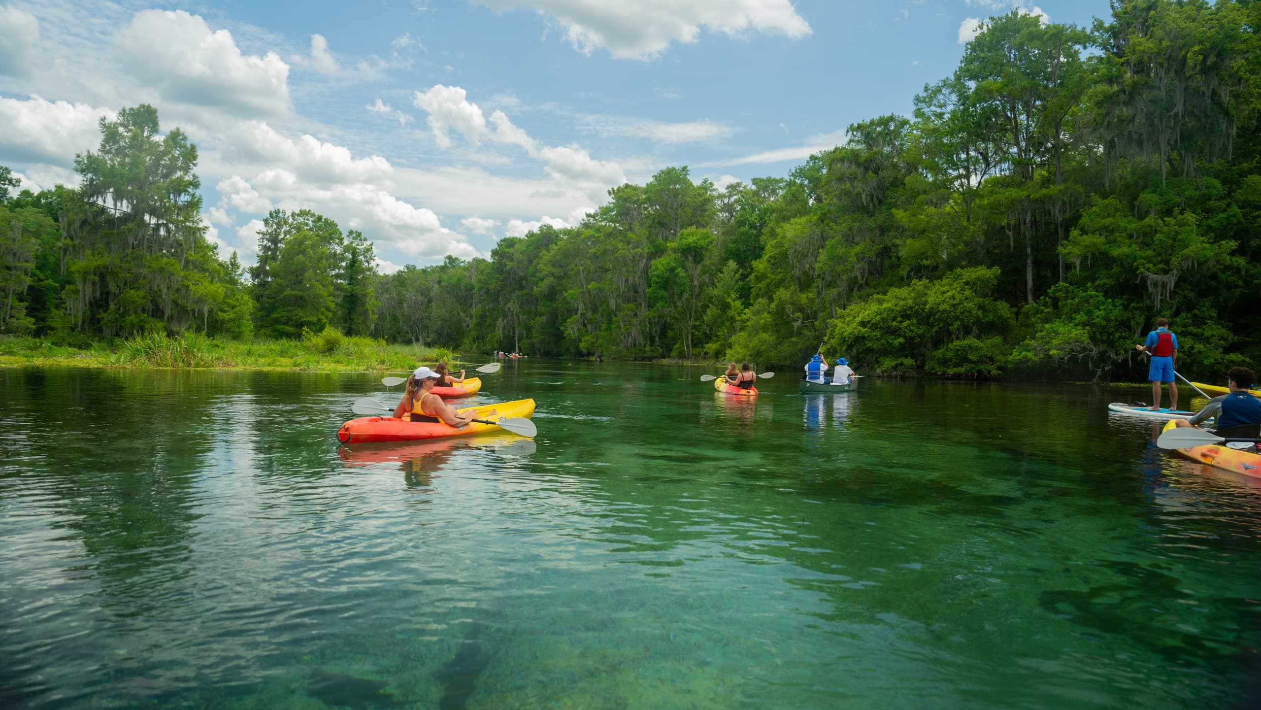 Water Activities & Paddle Ichetucknee: Crystal-Clear Springs Escape